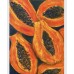 Juicy Papaya Fruits — Original Oil Painting